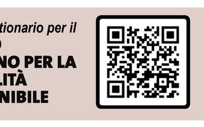 Immagine: pums_questionario