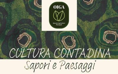 Immagine: sapori_paesaggi