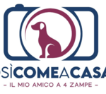 Immagine: Schermata 2020-12-20 alle 20.52.41