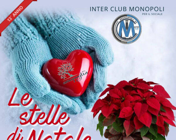 Immagine: stelle di natale 2022