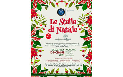 Immagine: stelle di natale _2023