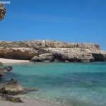 Immagine: storia_famiglia_per_bene (2)