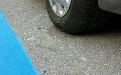 Immagine: strisce_blu