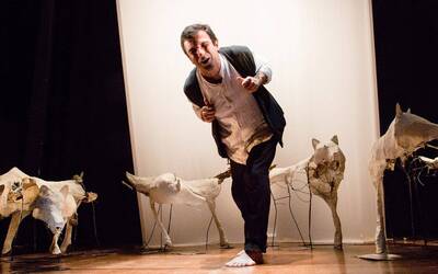Immagine: Teatro Radar_Zanna bianca