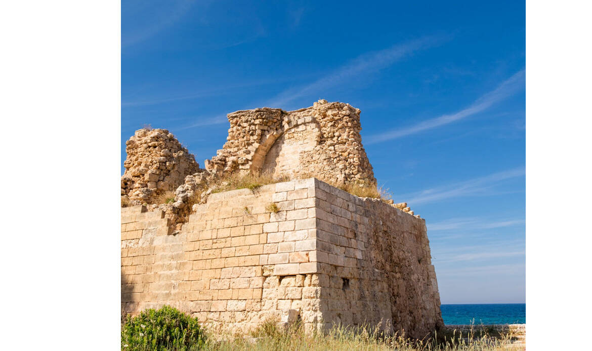 Immagine: Torre Cintola4