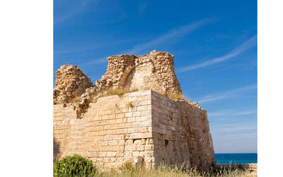 Immagine: Torre Cintola4