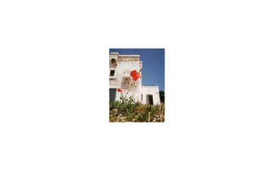 Torre d'Orta