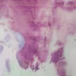 Immagine: Turroni_low (1)