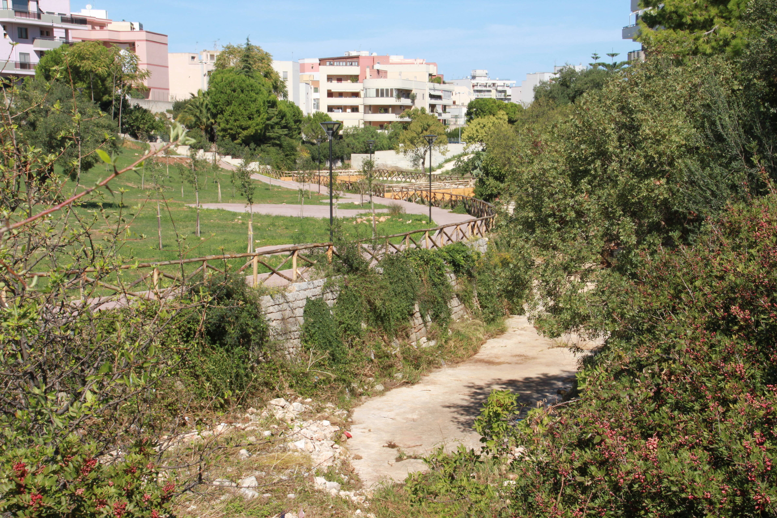 Vista panoramica del parco