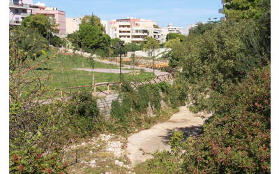 Vista panoramica del parco