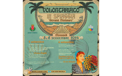 Immagine: Volontariato in Spiaggia 2024